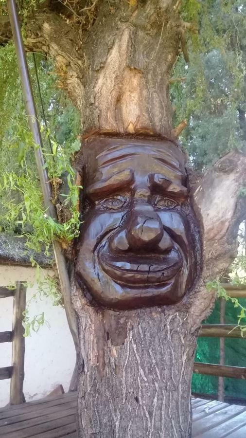 فيلا ميندوزافي Cabanas Alto Bermejo المظهر الخارجي الصورة